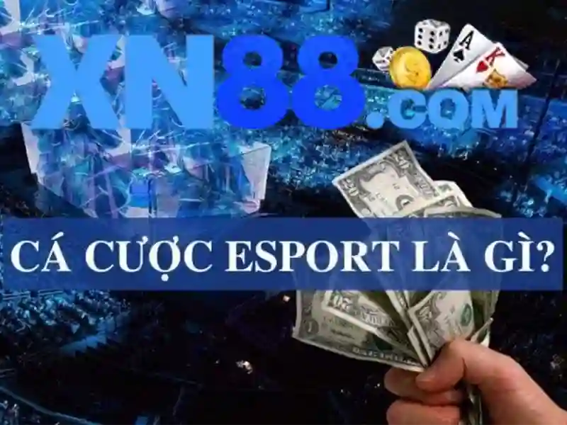 rút tiền slot88 - xn88 rút tiền slot88 - xn88