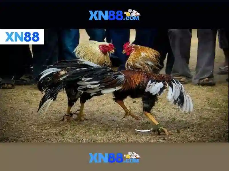 💎check visa slots💎 💎check visa slots💎