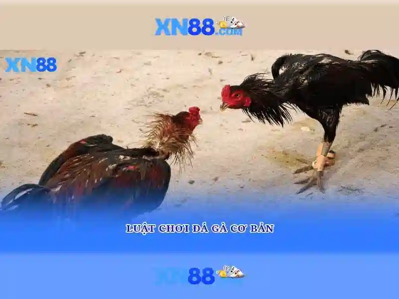 💎postgresql check replication slots💎 💎postgresql check replication slots💎