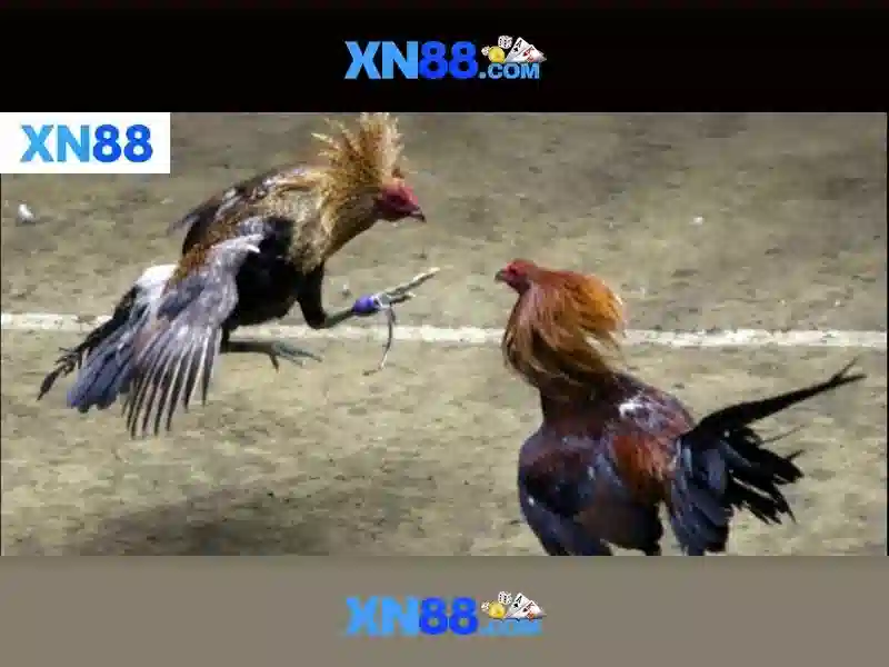 💎best betway slots💎 💎best betway slots💎