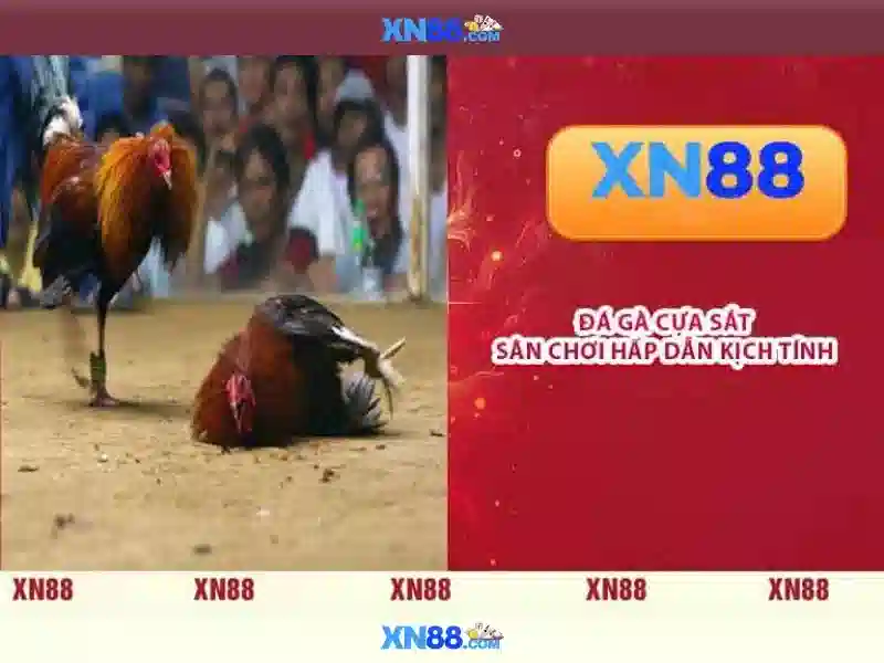 💎drag slot car💎 💎drag slot car💎