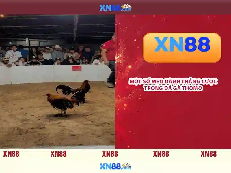 💎smbus connected to pcie slots💎 💎smbus connected to pcie slots💎