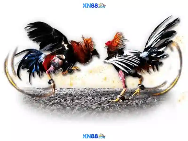 💎777 hb88 casino online games💎 💎777 hb88 casino online games💎