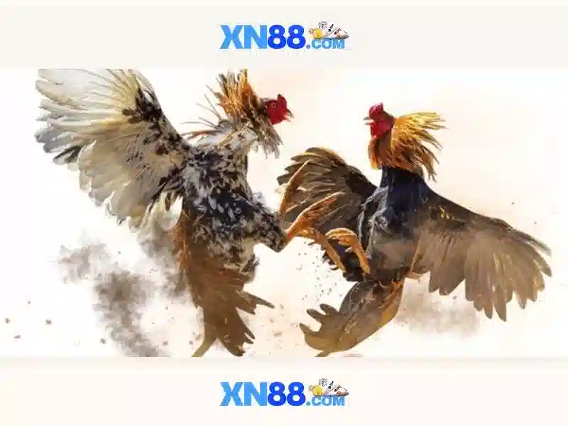 💎mo salah xn88 slot💎 💎mo salah xn88 slot💎