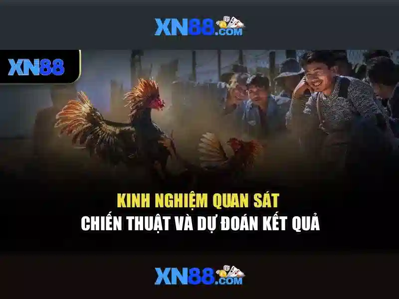 💎m88 mansion | nhà cái cá cược💎 💎m88 mansion | nhà cái cá cược💎