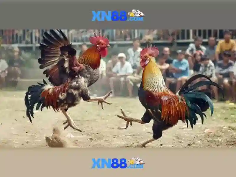 💎dàn diễn viên trong sòng bạc hoàng gia💎 💎dàn diễn viên trong sòng bạc hoàng gia💎