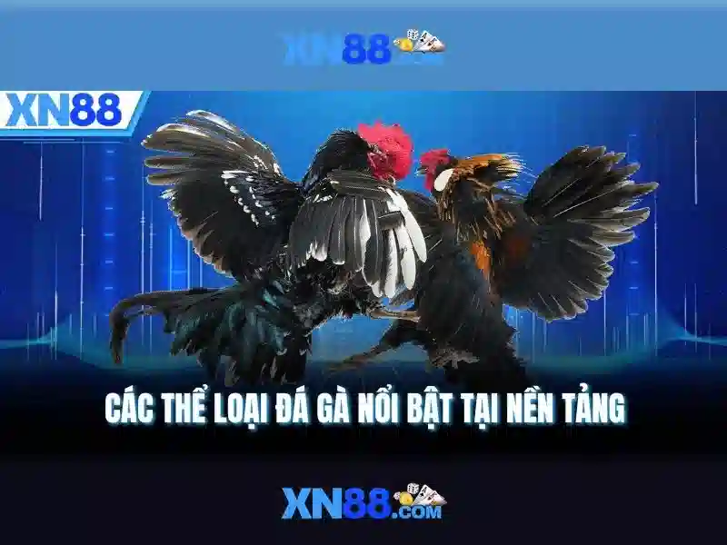 💎bongdatructuyên keo nha cai💎 💎bongdatructuyên keo nha cai💎