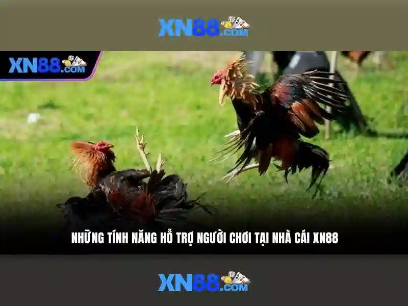 💎keo nha cai 5xyz💎 💎keo nha cai 5xyz💎