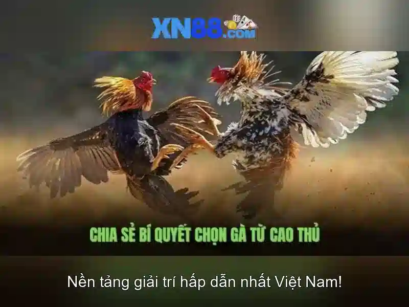 💎casino no download free slots💎 💎casino no download free slots💎