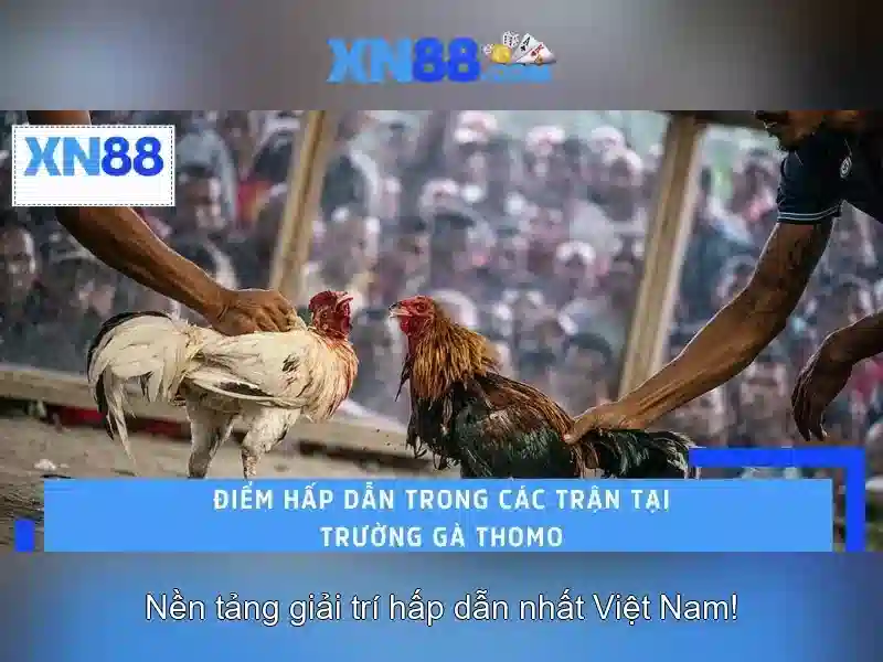 💎cá cược bóng đá clubsportivoestudiantes💎 💎cá cược bóng đá clubsportivoestudiantes💎