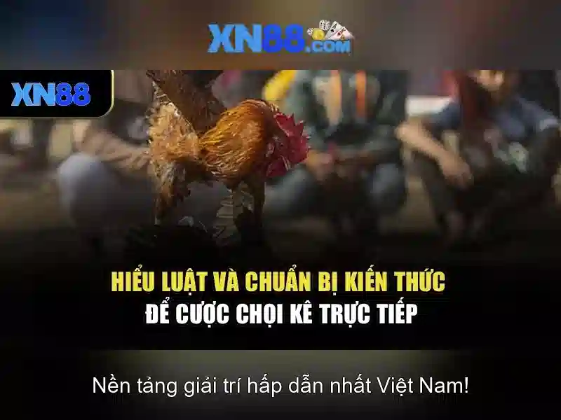 💎nhà cái đánh lô đề uy tín thenyic.net💎 💎nhà cái đánh lô đề uy tín thenyic.net💎