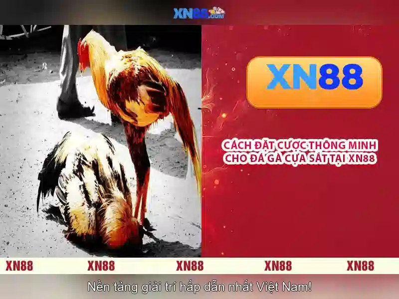 💎online slots australia paypal💎 💎online slots australia paypal💎