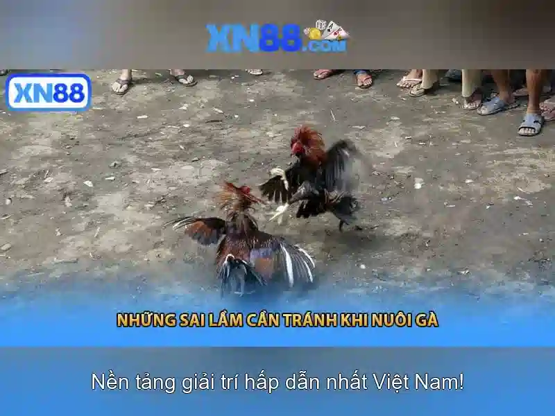 💎bonus offer💎 💎bonus offer💎