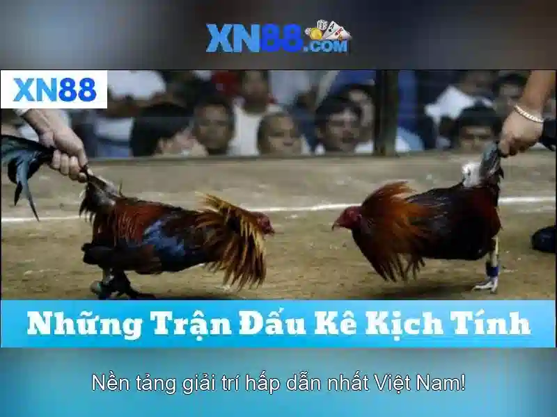 💎nhà cái uy tín casinoso1 top 10💎 💎nhà cái uy tín casinoso1 top 10💎