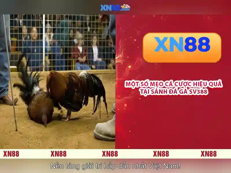 💎nha cai uy tin onlinecasinohub.com💎 💎nha cai uy tin onlinecasinohub.com💎