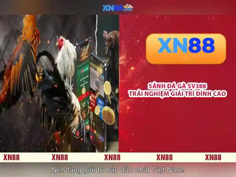 💎nhà cá cược bóng đá💎 💎nhà cá cược bóng đá💎