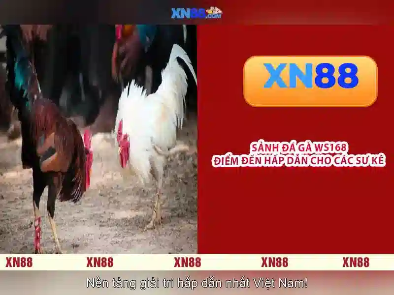 💎slot promo new member 100💎 💎slot promo new member 100💎